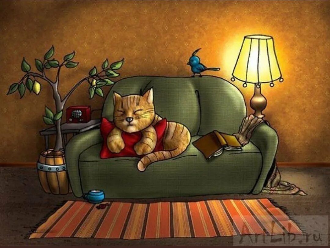 Кошка сидит в комнате