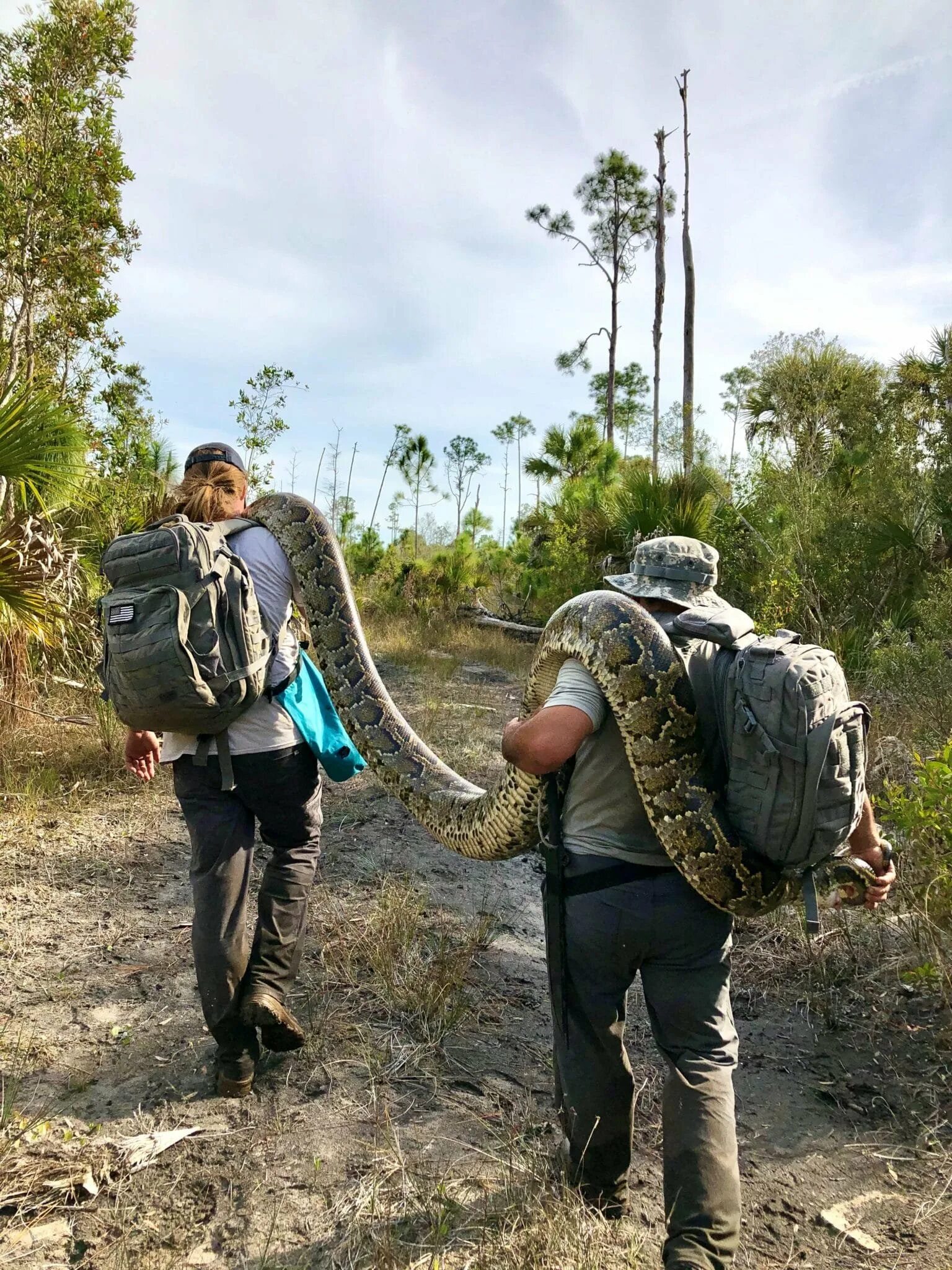 Python tracking