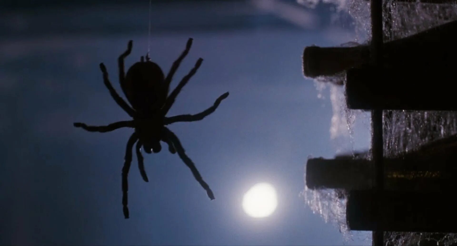 Увидеть паука ночью. Боязнь пауков»/ Arachnophobia (1990).