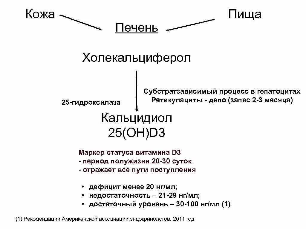 Алицитрин. Кальцидиол анализ. Препараты кальцитриола. Дефицит витамина d. Кальцидиол анализ.
