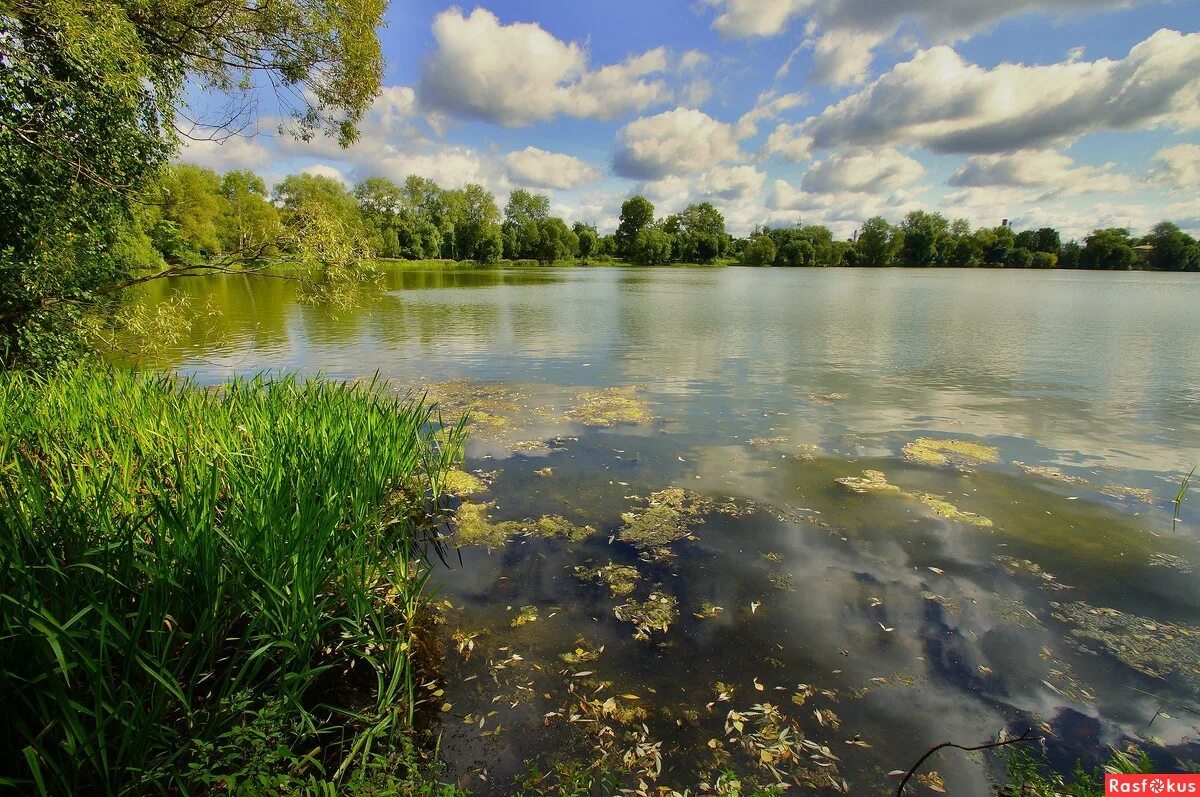 август озер. озеро в августе. красота озер август. август озер. озера поволжья.