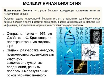 Методы исследования в молекулярной биологии презентация