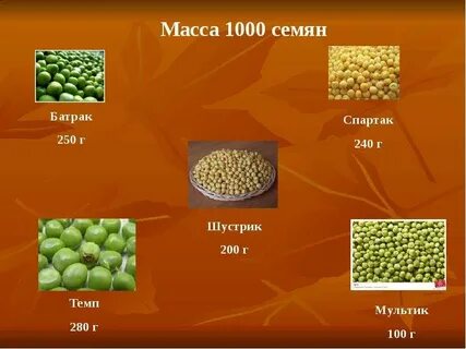 Масса 1000