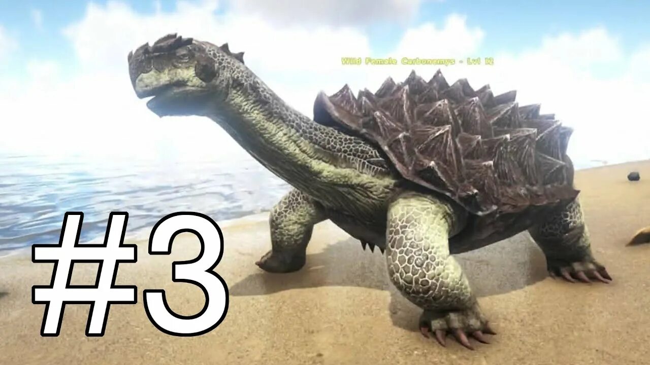 Ark карбонемис. Черепаха карбонемис. Черепаха карбонемис. Арк фото карбонемиса. Карбонемис арк.