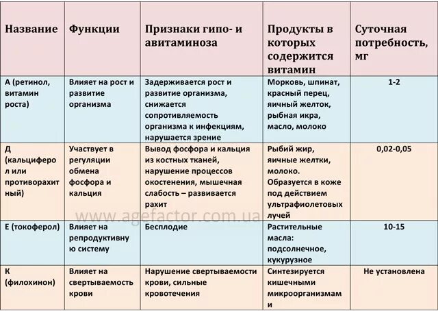 Таблица витамины жирорастворимые витамины. Водорастворимые витамины и жирорастворимые витамины таблица. Водорастворимые и жирорастворимые витамины таблица. Функции жирорастворимых витаминов. Заболевания водорастворимых витаминов