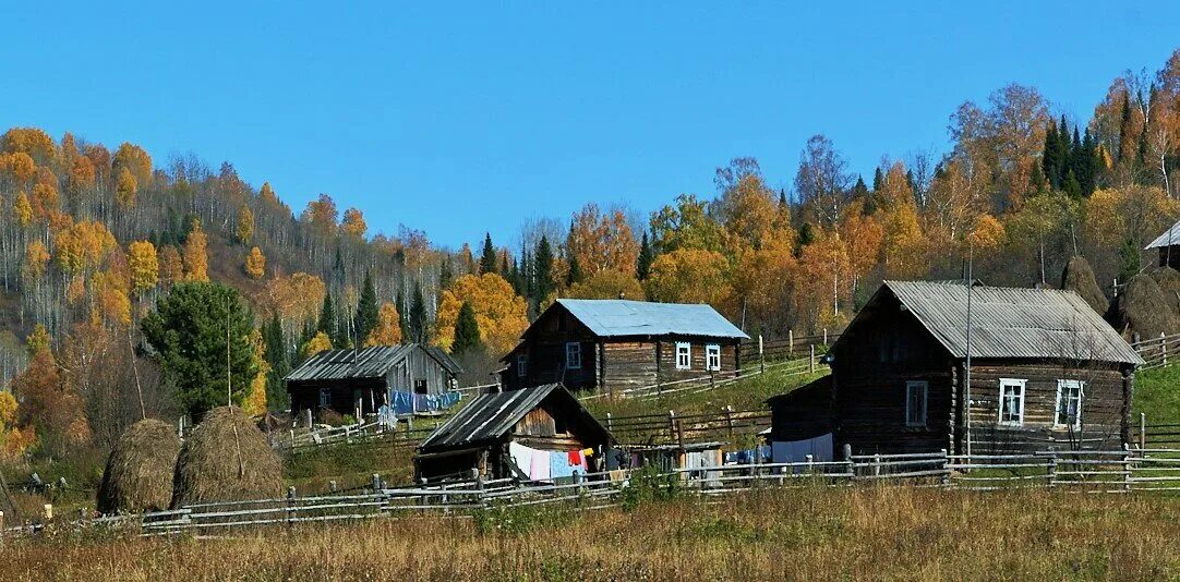 Таежные истории жизнь в глубинке