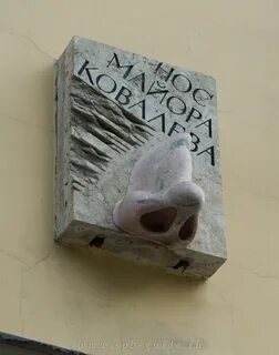 Имя ковалева из носа