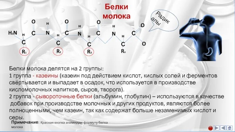 Казеин какой белок. Казеин молока строение. формула молочных белков. формула молочного белка.