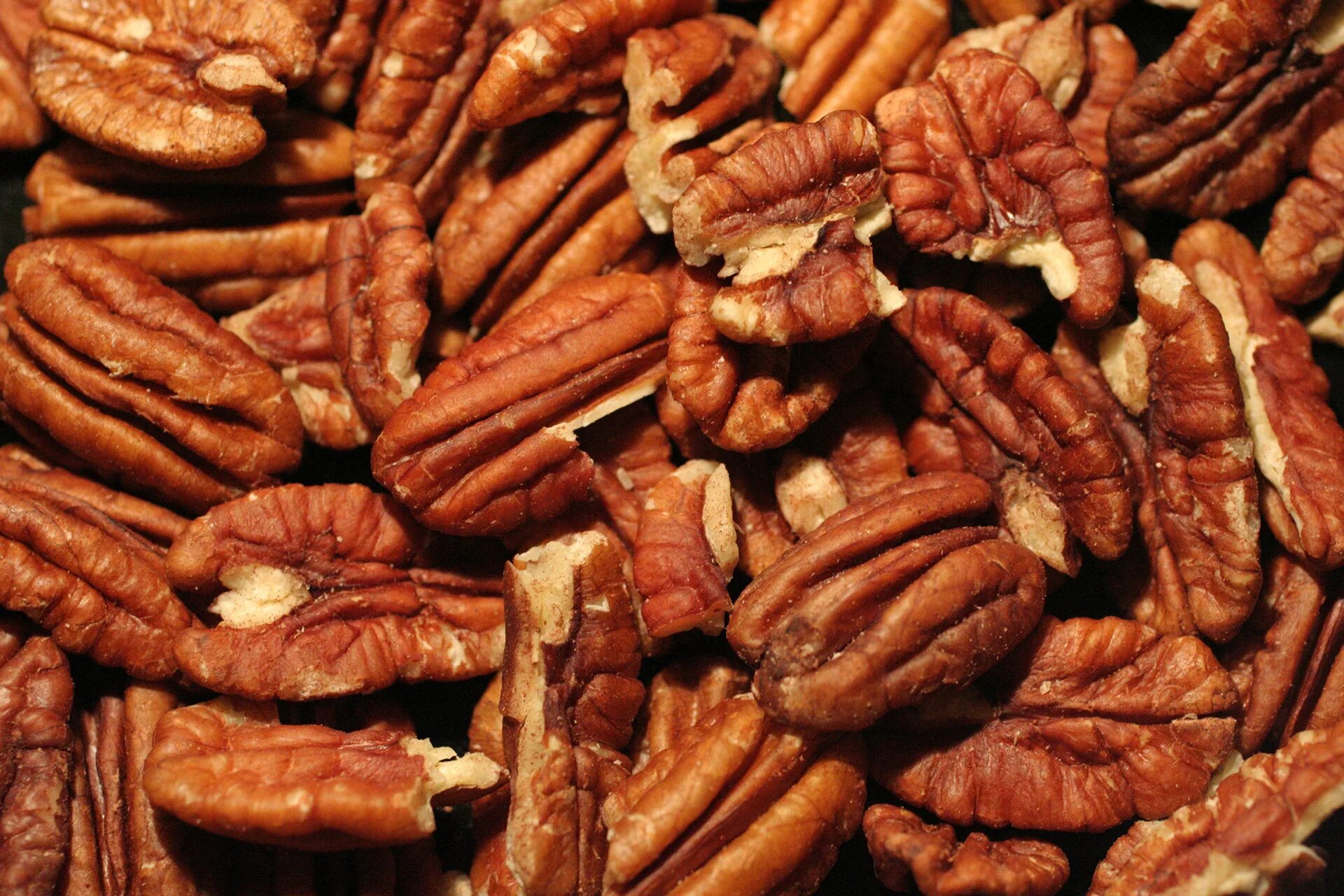 мексиканский орех пекан. пекан что это. пекан что это. кленовый пекан орех. орех пекан шоколадный сорт.