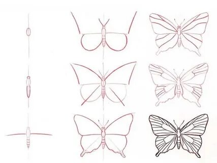 Butterfly Template, Butterfly Printable Template, Flower