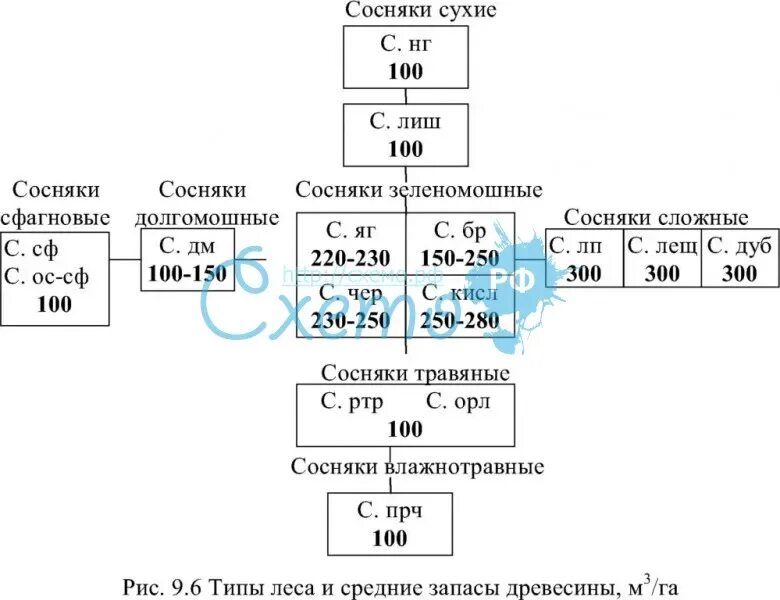 Тип леса бр. Типы леса по в. н. сукачеву. сухие типы леса. типы леса таблица. типы леса по сукачеву таблица.