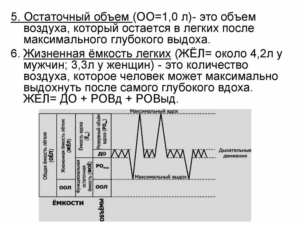 Формула для расчета должной жизненной емкости легких. Жел физиология дыхания. Легочные емкости физиология. Объемы дыхания физиология. Как определить емкость легких