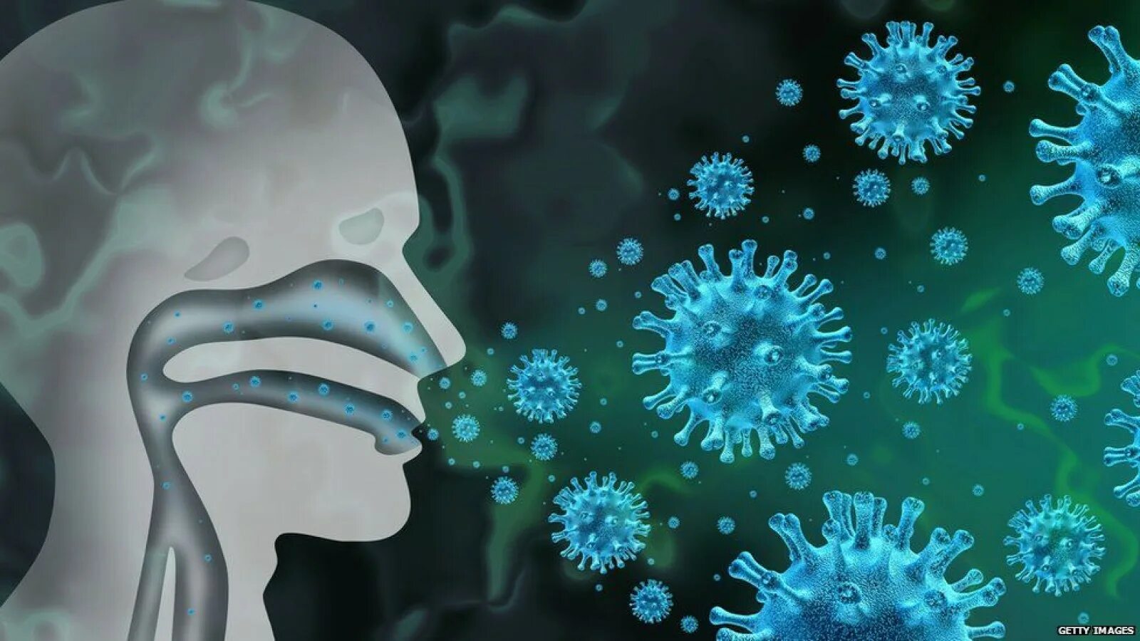 Риновирусная инфекция вирус. Вирус гриппа под микроскопом и коронавирус. Изображение вируса гриппа. Возбудители риновирусной инфекции.
