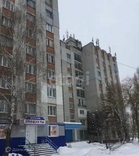 Брянск 13
