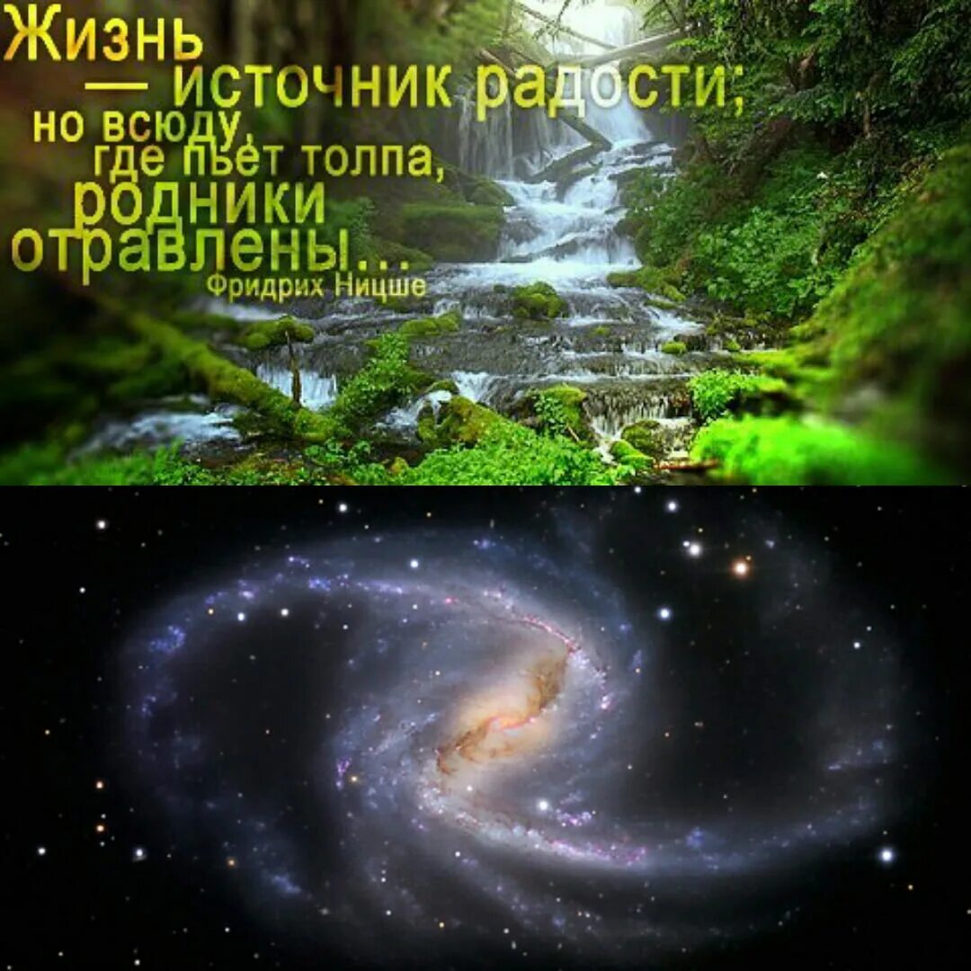 Где пьет толпа родники отравлены кто сказал. Горный родник. Где пьет толпа родники отравлены кто сказал. Жизнь источник радости но всюду где пьет толпа родники отравлены. Где пьет толпа родники отравлены кто сказал.