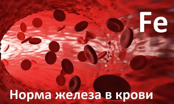 Уровень железа у женщин. Кровь и железо. норма железа в крови. норма желелеза в крови. железо в крови норма.