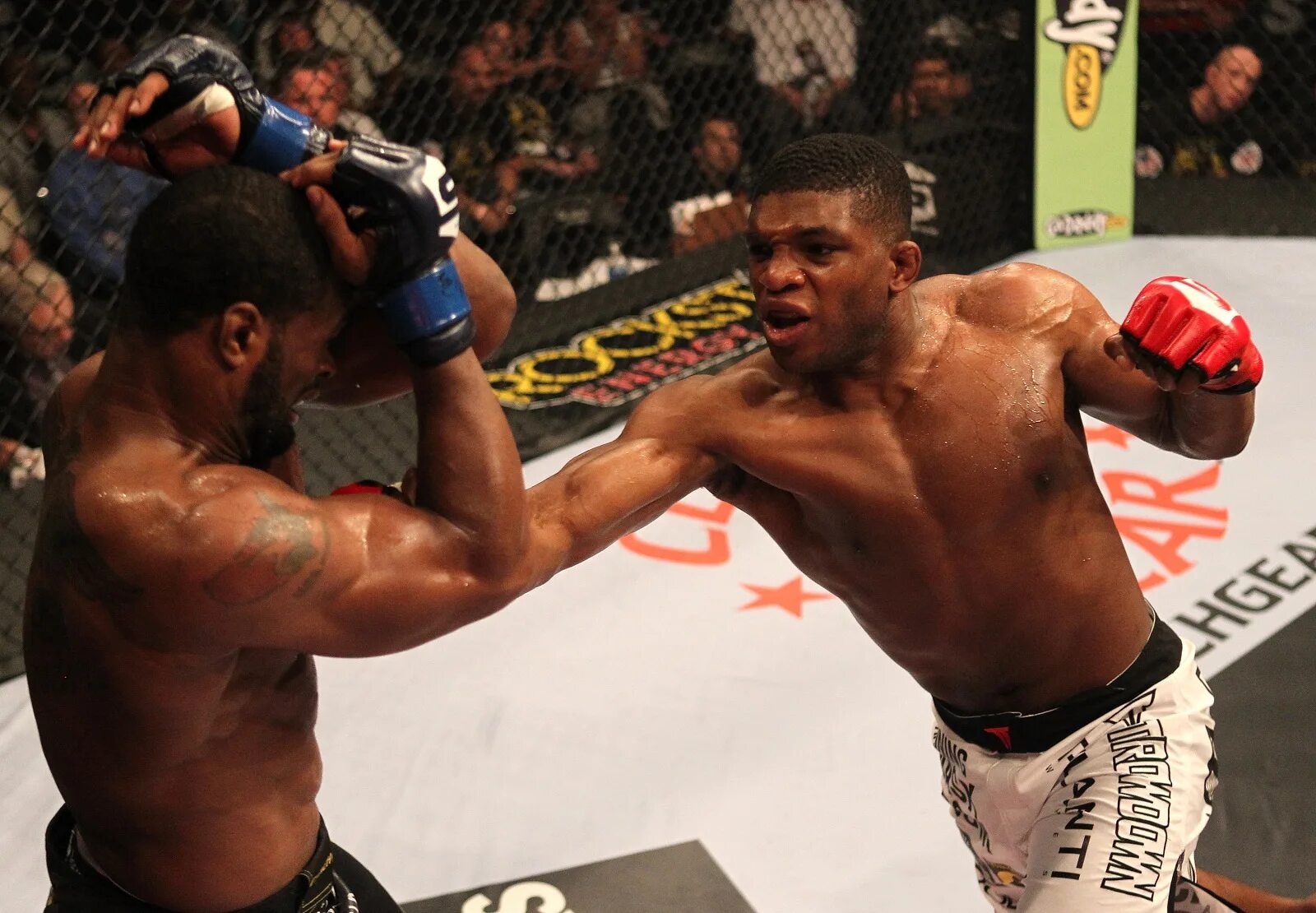 Paul Daley. Дейли Беллатор. Пол Дейли бой. Paul Daley UFC.