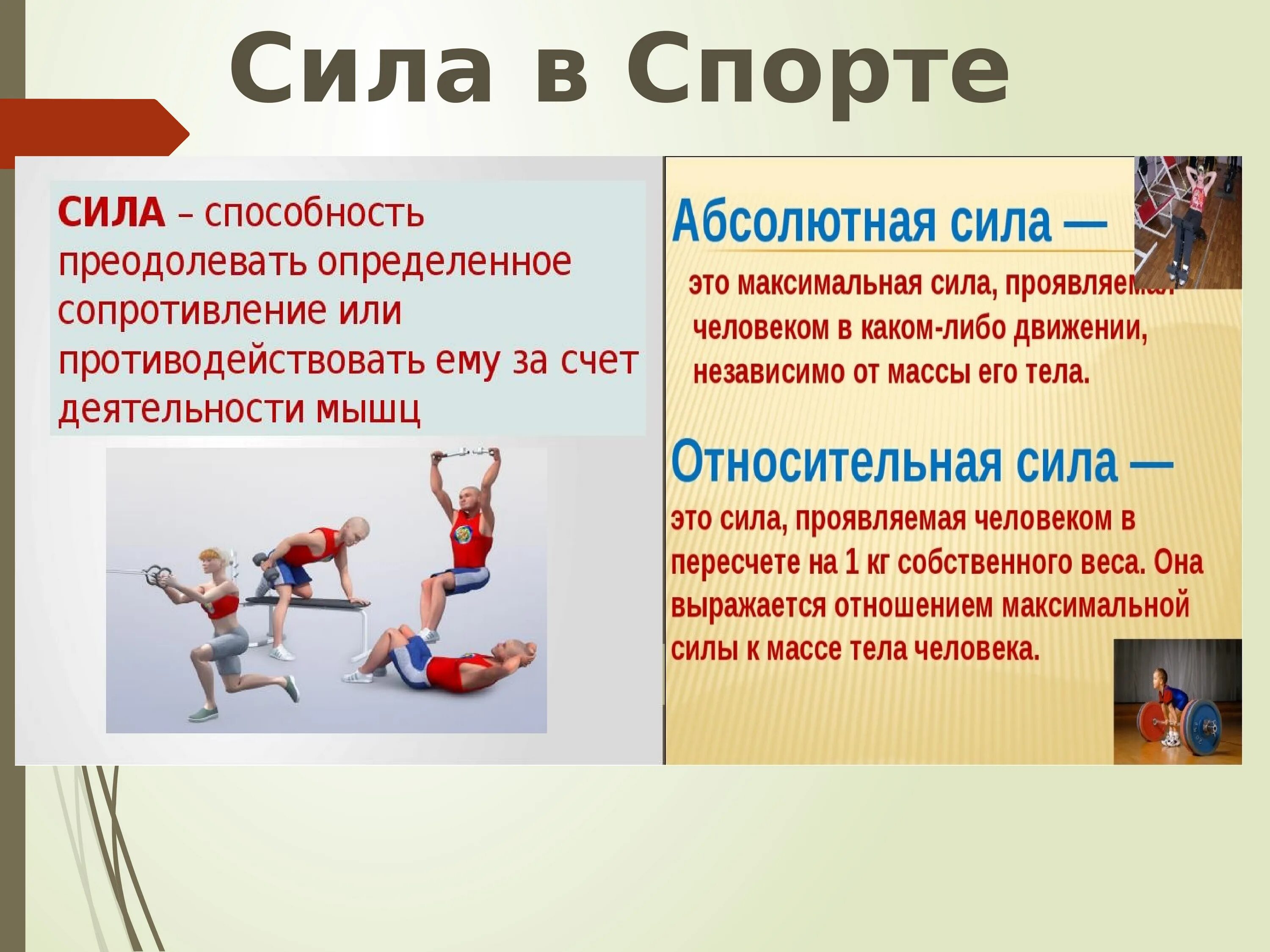 Спорт сила. Спорт для презентации. Законы Ньютона в спорте. Стла в СПОРТЕЭТО. Основные законы спорта