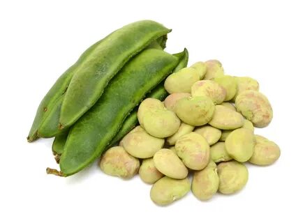 Bean define