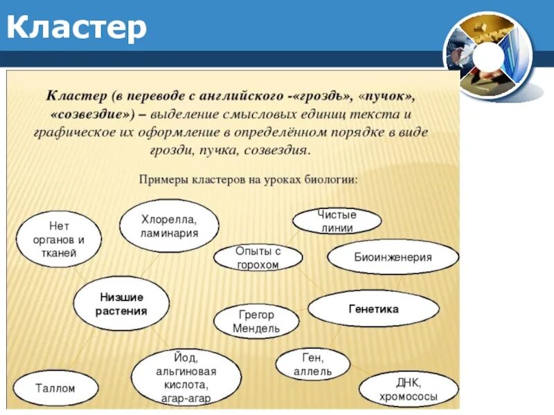 Кластер пример. Составление кластера на уроках биологии. Пример кластера по биологии. Метод кластер в биологии. Прием кластер в биологии.