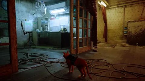 Stray похожие