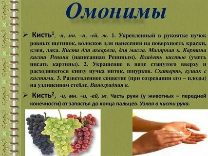 Значение омонимов кисть