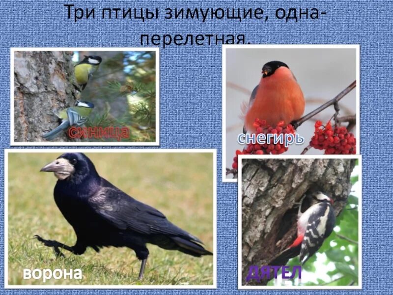 Здесь мог быть текст.