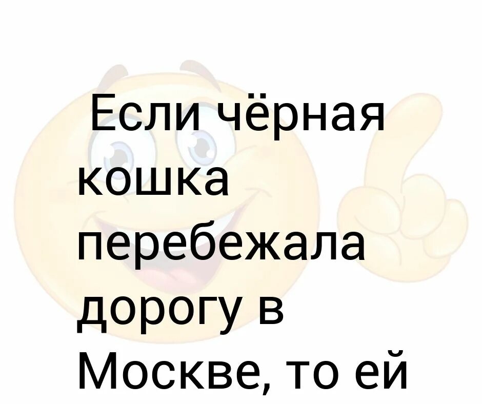 Что делать если кошка перебежала дорогу. Если черная кошка перебежала дорогу. Чёрная кошка перебежала дорогу слева направо. Примета черная кошка перебежала дорогу. Если черная кошка перебежала дорогу примета.