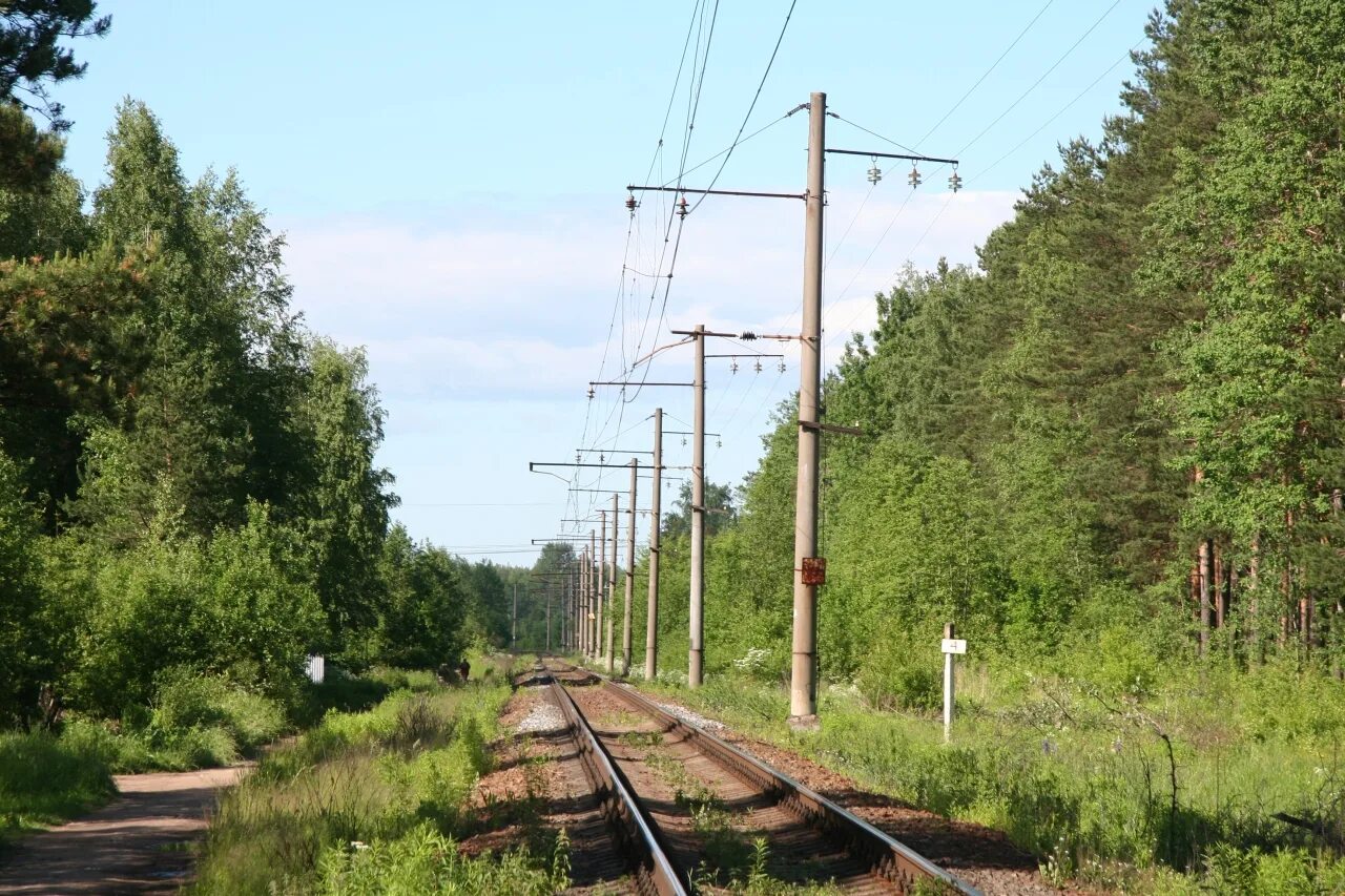 Участок железнодорожного пути 7. Невдубстрой ЖД станция. Станция 11 км Невдубстрой. Линия Мга Невдубстрой. Станция Невдубстрой Кировск.