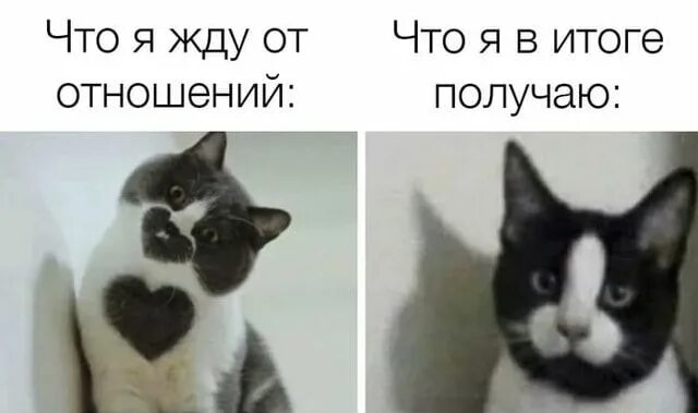 Что я жду от Что я в итоге отношений: получаю: - популярные мемы на сайте idapri