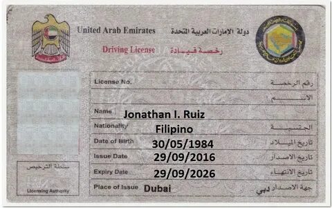 Dubai office хомяк как открыть