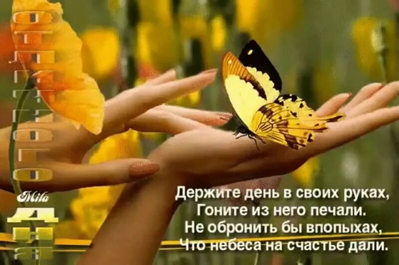 Свои исполняет счастье в. Держите счастье в своих руках. счастье в каждом дне. открытка радости в душе. держите день в своих руках.