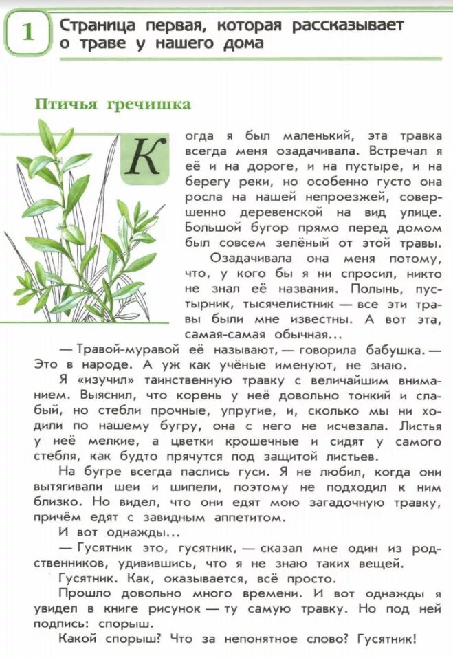 цикорий цветковый зеленые страницы. плешаков окружающий мир зеленые страницы. книга зелёные страницы 2 класс окружающий мир рассказ. книга плешакова зеленые страницы. зеленая страница окружающий мир читать.