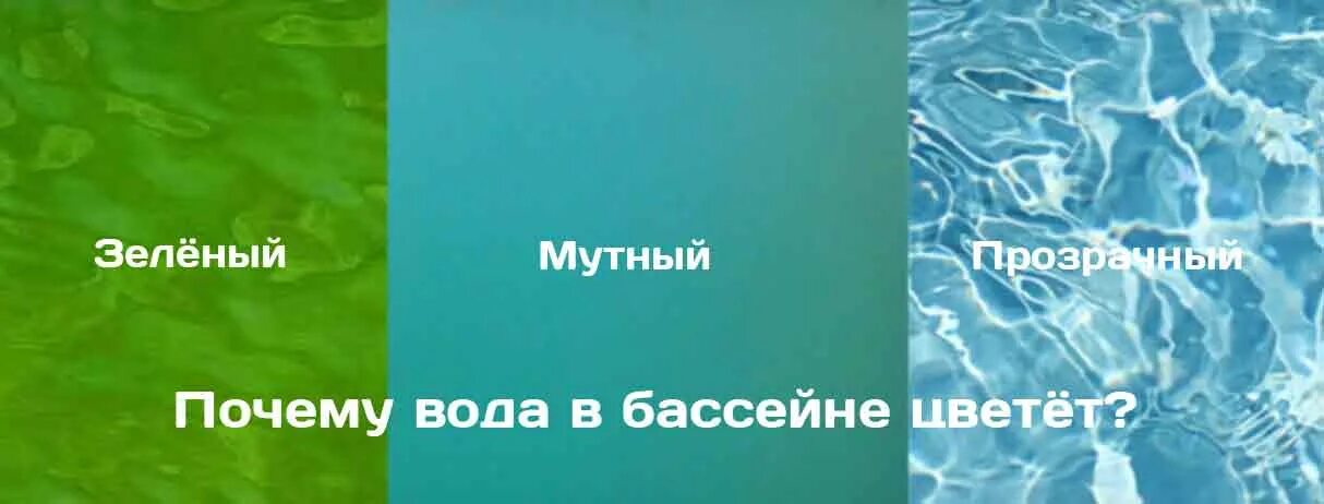 Почему быстро зеленеет вода. Вода в бассейне зеленеет. Почему вода зеленеет. Мутная вода в бассейне. Зеленеет бассейн.