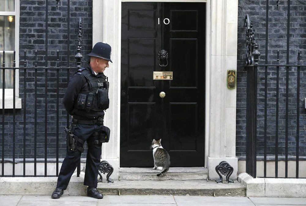 10 downing street was