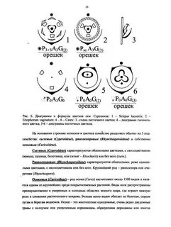 Диаграмма формула