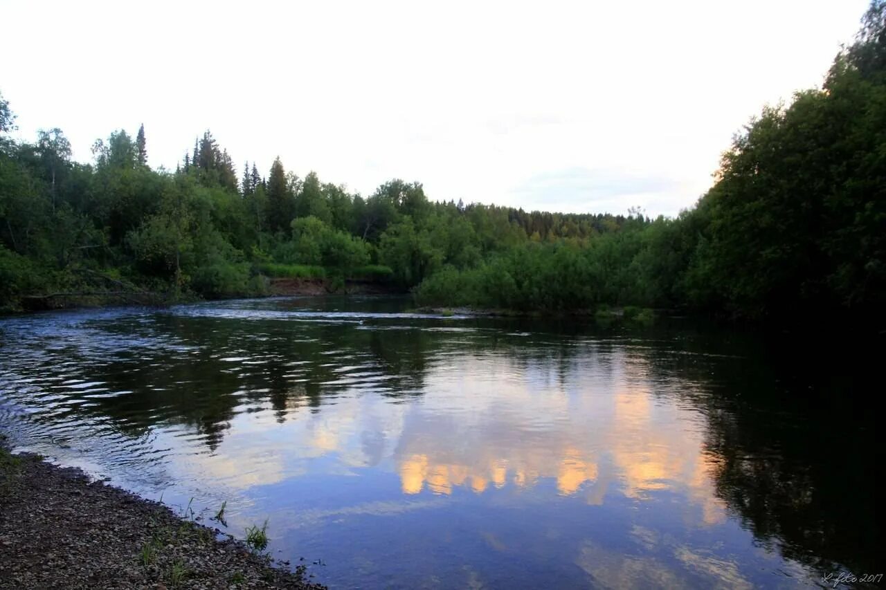 Река Чаньва Пермский край. Яйва Пермский край. Река Яйва. Яйва Александровский район. Поселок яйва пермский край