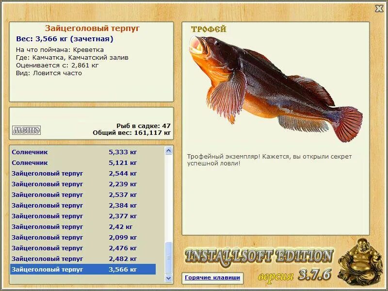 терпуг рыба где водится. терпуг. зайцеголовый терпуг. зайцеголовый терпуг. терпуг зайцеголовый терпуг.