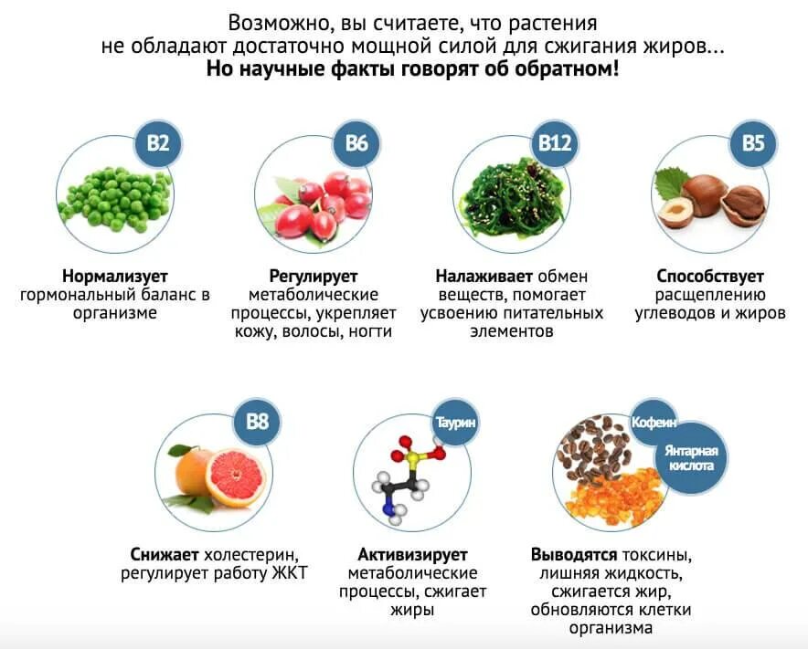 Ускорить метаболизм для похудения после 40. Продукты помогающие сжиганию жиров. Жиры продукты расщепления. Пища ускоряющая метаболизм. Еда для метаболизма.