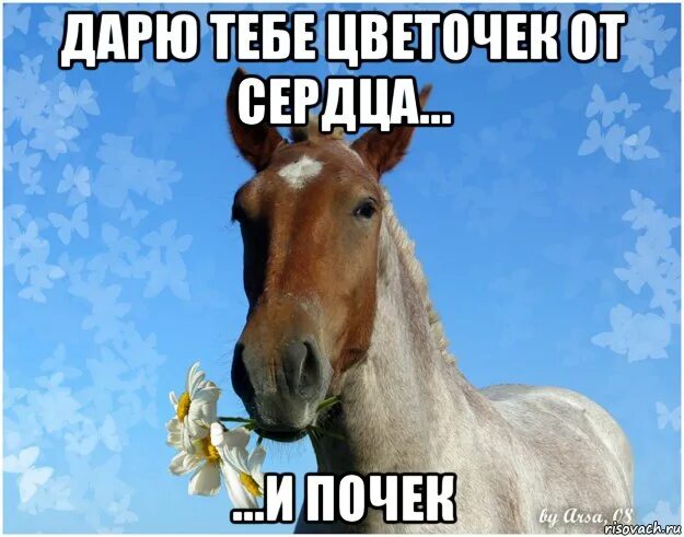 чем опасно повышение артериального давления. от сердца и почек дарю тебе цветочек. от сердца и почек. от сердца и почек дарю цветочек мем. от сердца и почек.