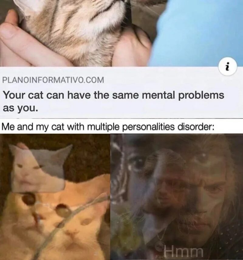 She they has a cat. Your Cat can have the same Mental problems as you. Your Cat can have the same Mental problems as you meme. Have the same problem. Ментал кошка.