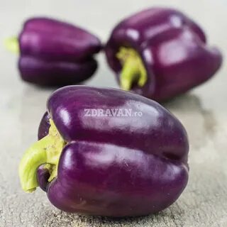 Фиолетовый болгарский перец