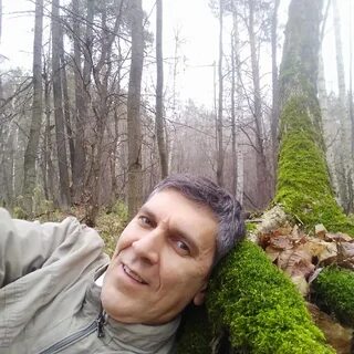 Кустов воронеж