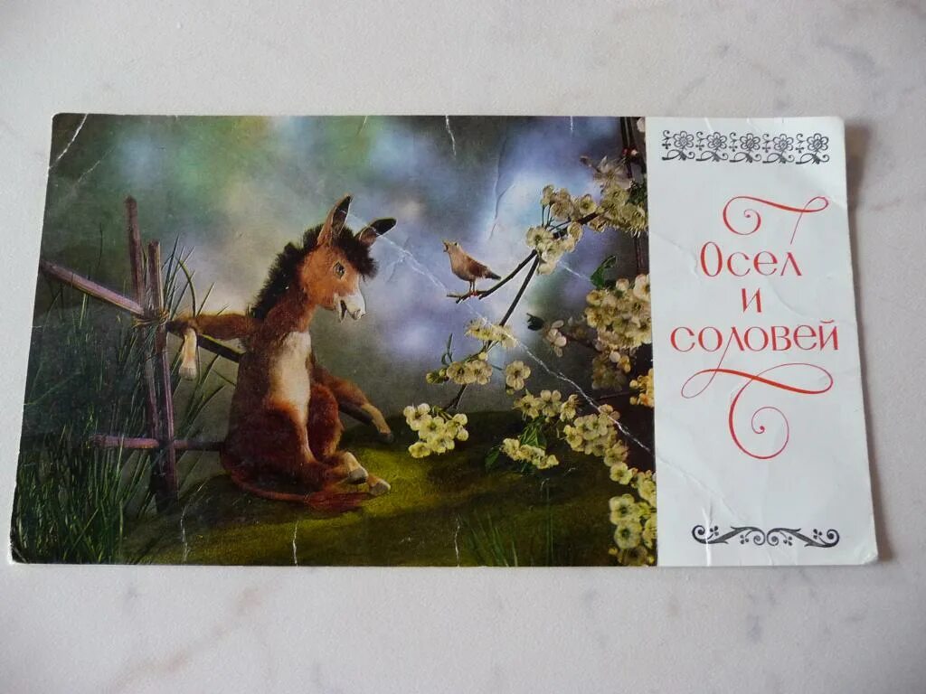Осел и соловей тема. Осел и соловей тема. Осёл из басни квартет. Осел и соловей. Иллюстрация осел и соловей.