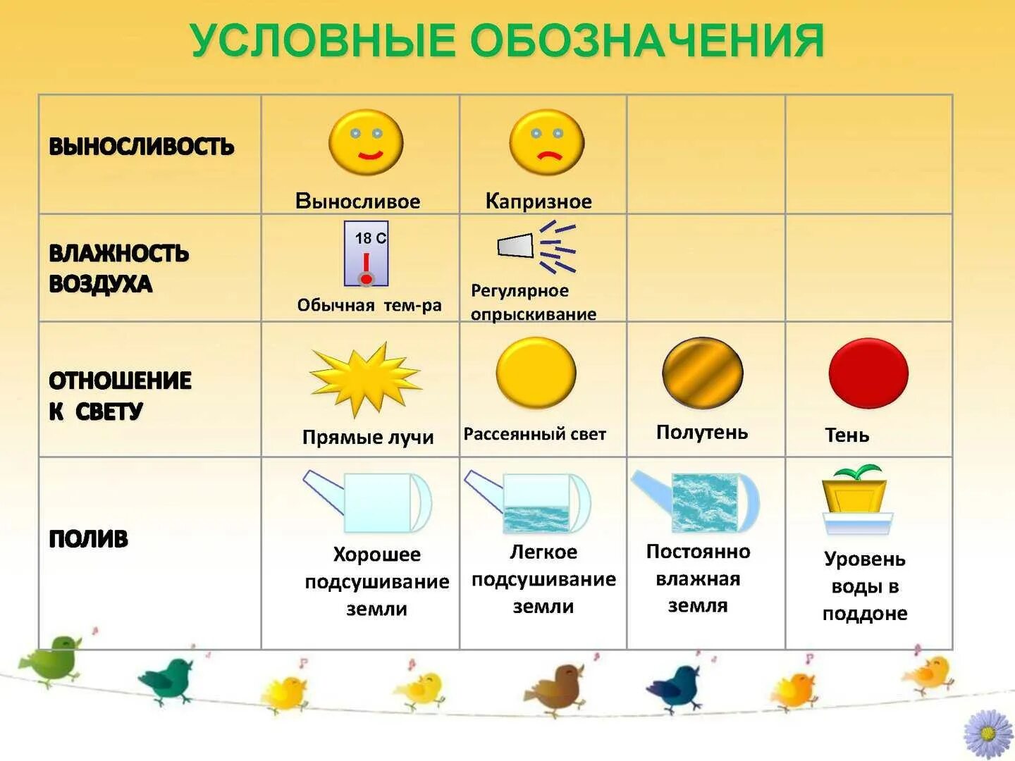 Условные обозначения для паспортизация комнатного растения. Уход за растениями в старшей группе