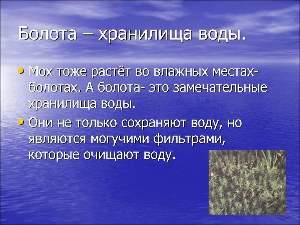 Какие организмы составляют болото. Болота хранилища воды. Обитатели пресных вод. Жизнь в пресных водоемах. Проект жизнь в пресных Водах.