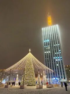 Ели архангельска
