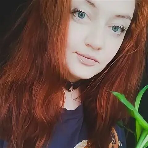 Леси ли