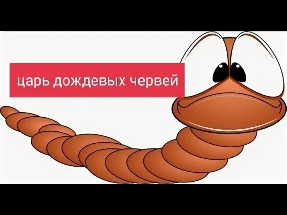 Червяк. Червяк на рыболовном крючке. Дождевой червячок мультяшный. Червячок. Математическая закорючка похожая на червяка 8 букв.