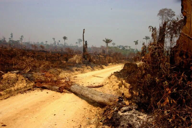 Land degradation after before. Загрязненность планеты. Environmental damage. Грязная река. Экологическая катастрофа.